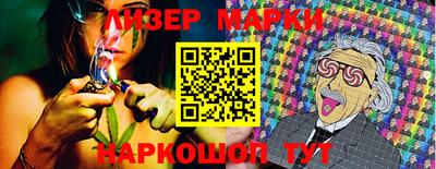 крисы Кулебаки