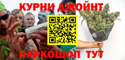крисы Кулебаки