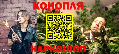 крисы Кулебаки